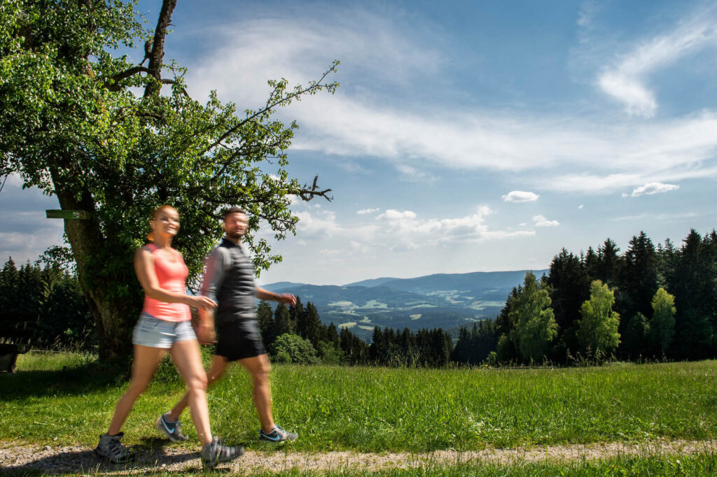 Wandern im Bayerischen Wald Hotel Sterr