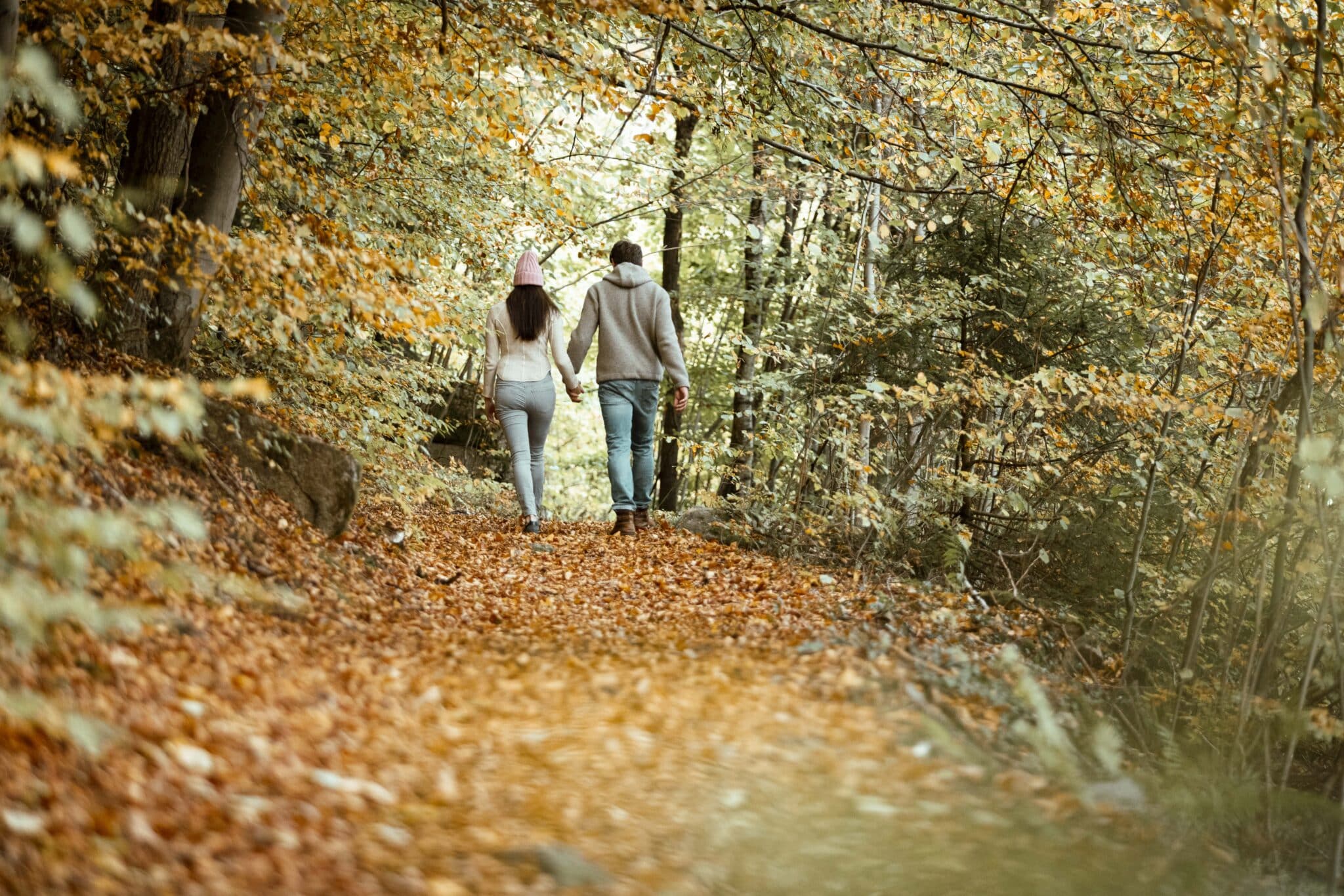 Read more about the article Herbst-Vorteilstage 5=4